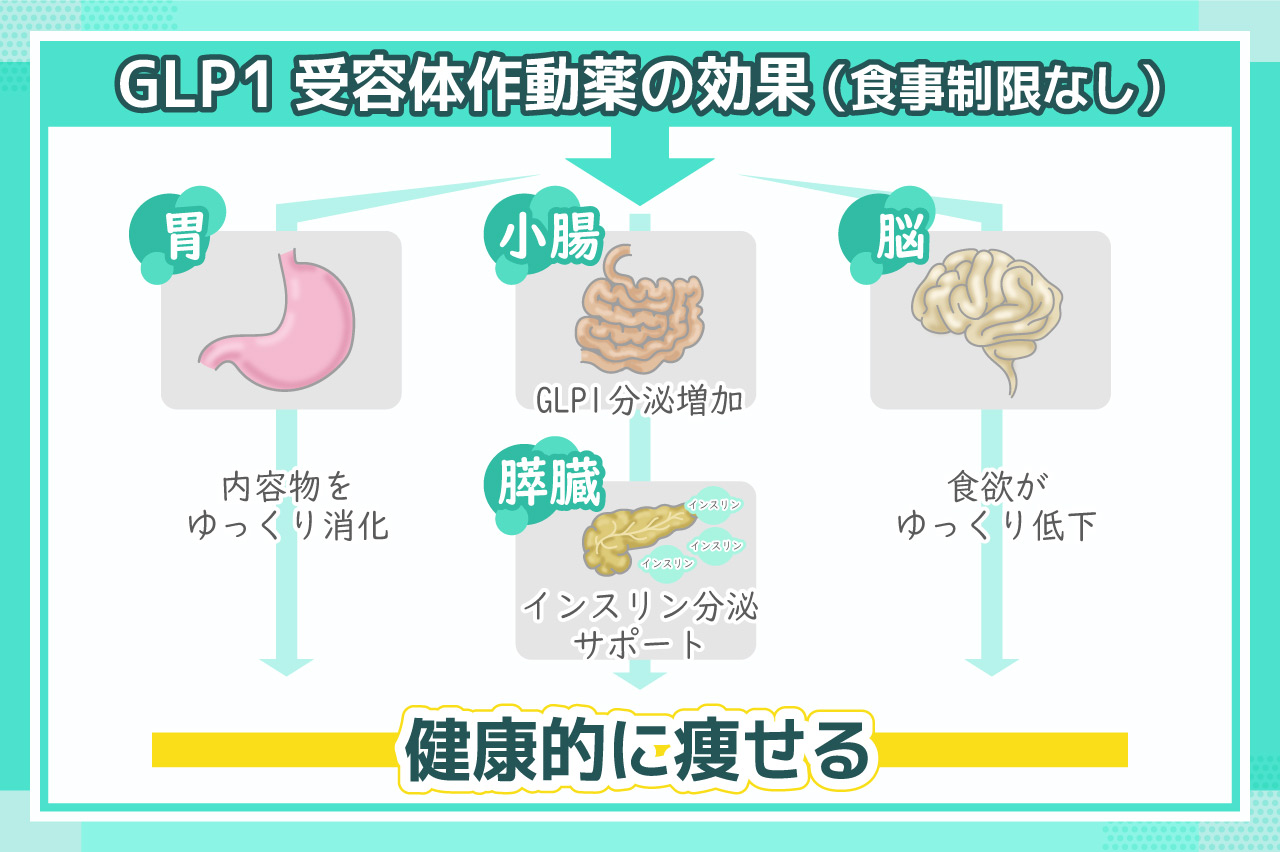 肥満外来